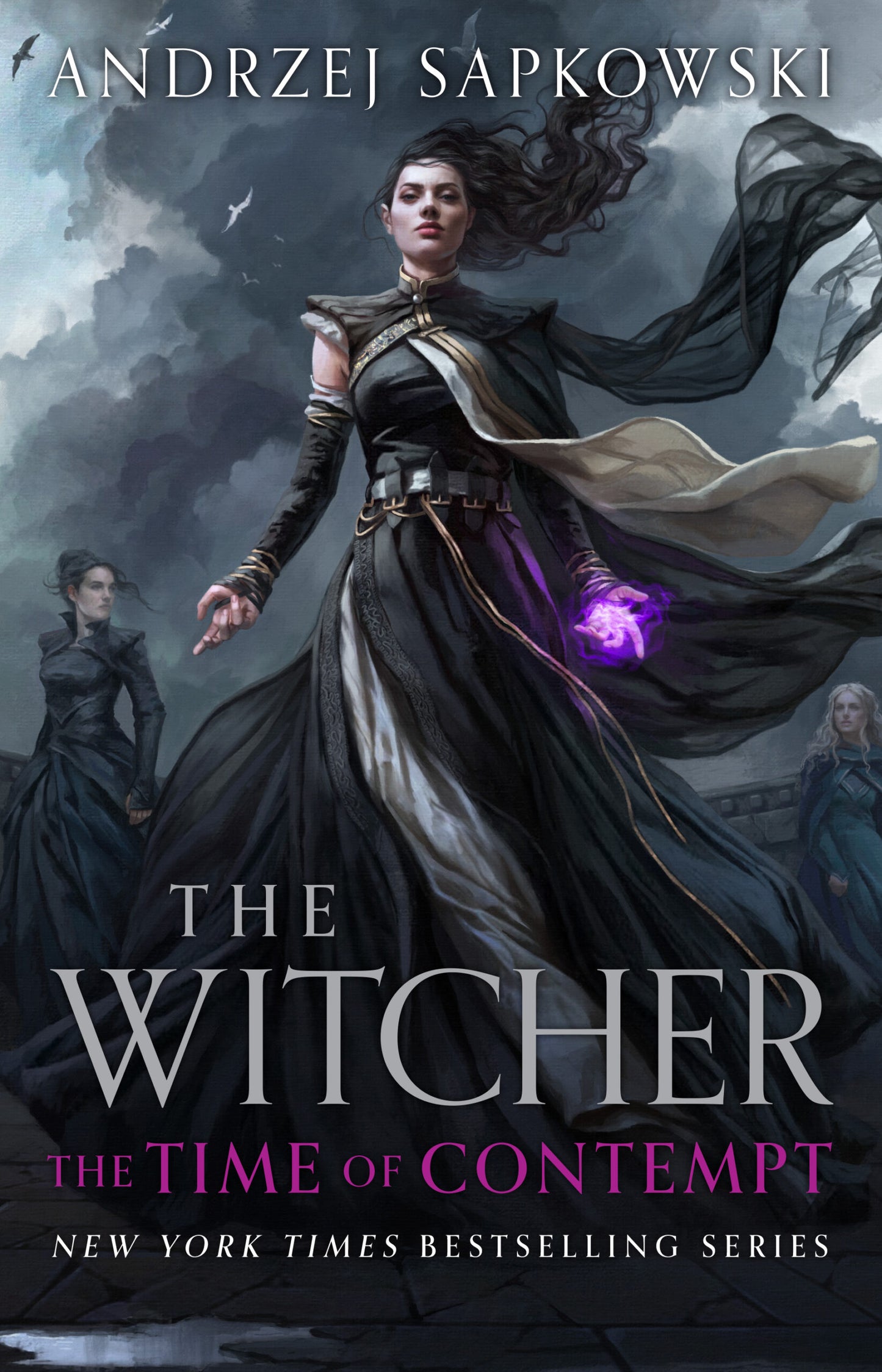 The Time of Contempt (The Witcher #2) by Andrzej Sapkowski (Hardcover)