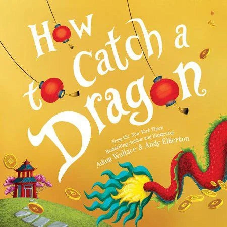 How to Catch a Dragon by Adam Wallace (Hardcover)