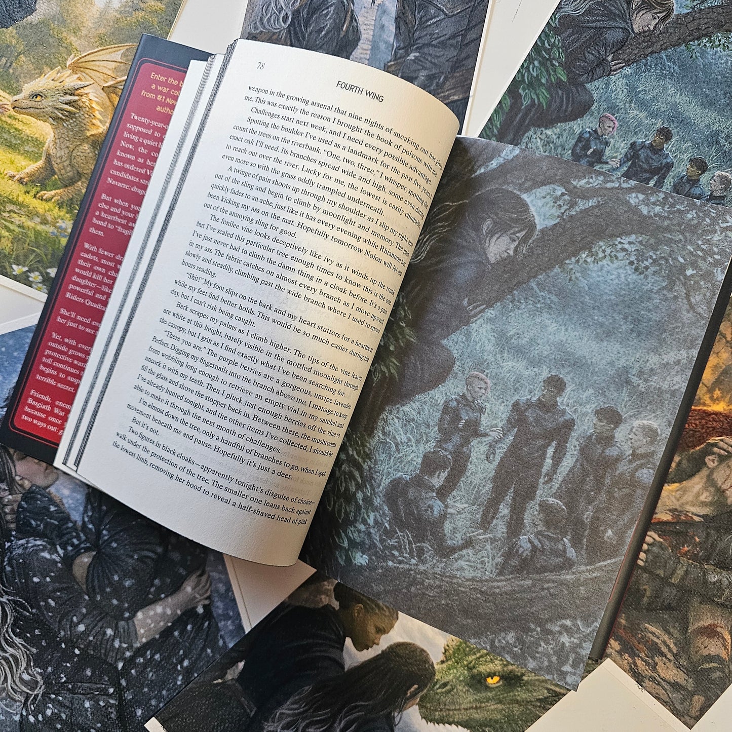 Fourth Wing Inspired Page Overlays (Fits Hardcover)