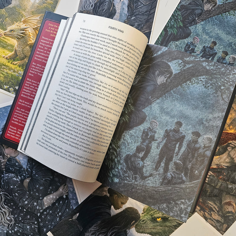 Dragon Rider inspired Page Overlays (paperback edition)