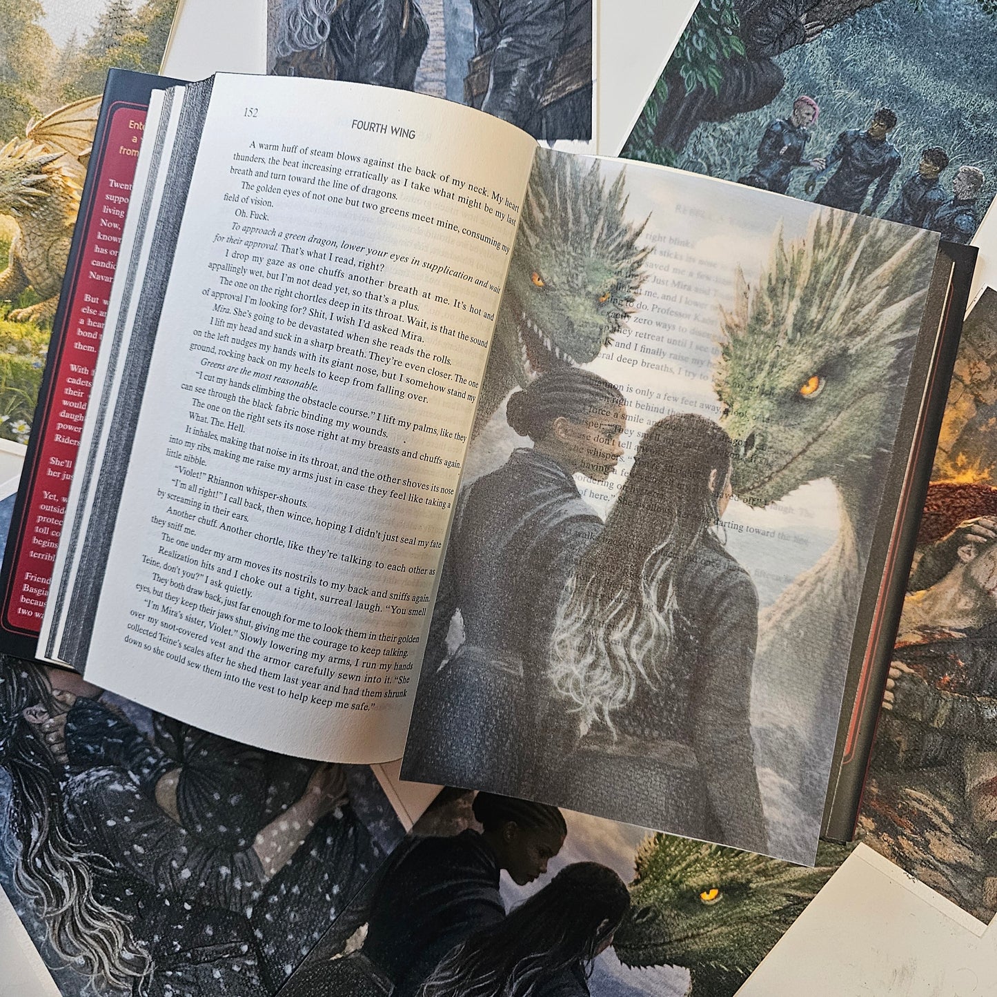 Fourth Wing Inspired Page Overlays (Fits Hardcover)