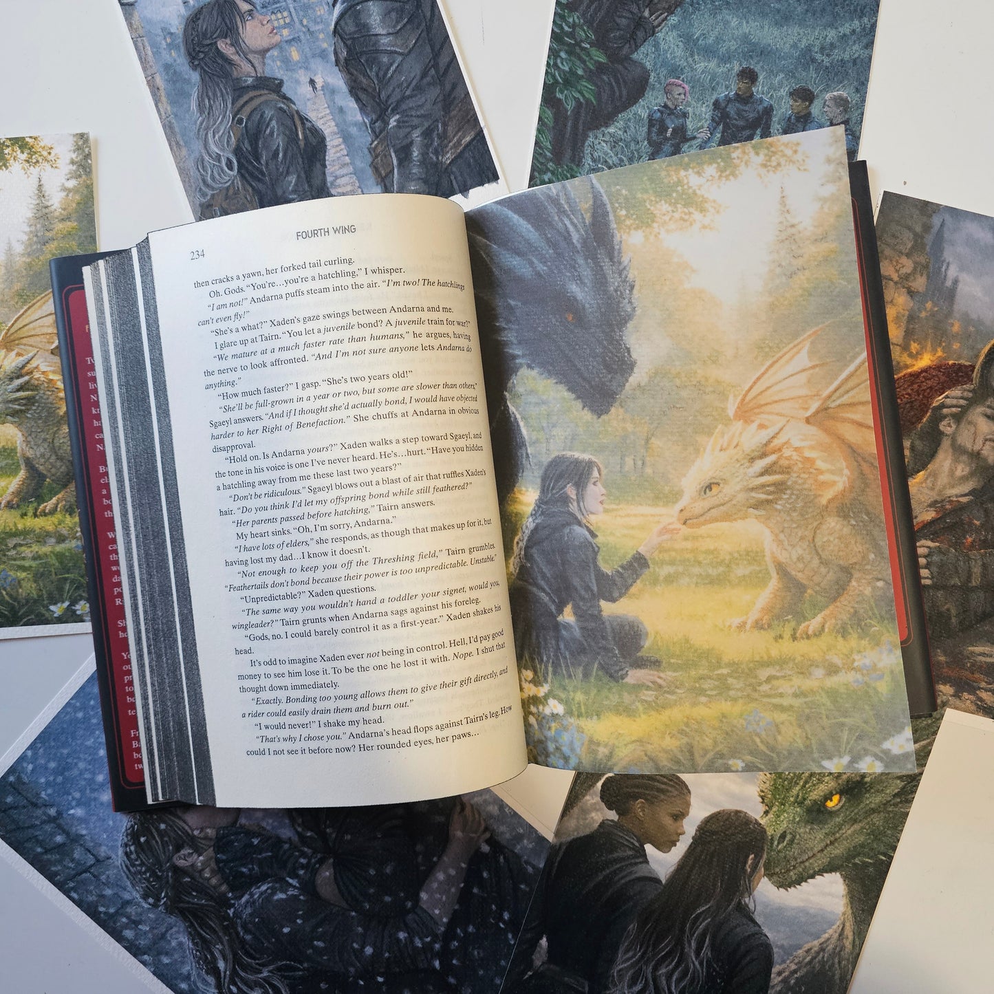 Fourth Wing Inspired Page Overlays (Fits Hardcover)