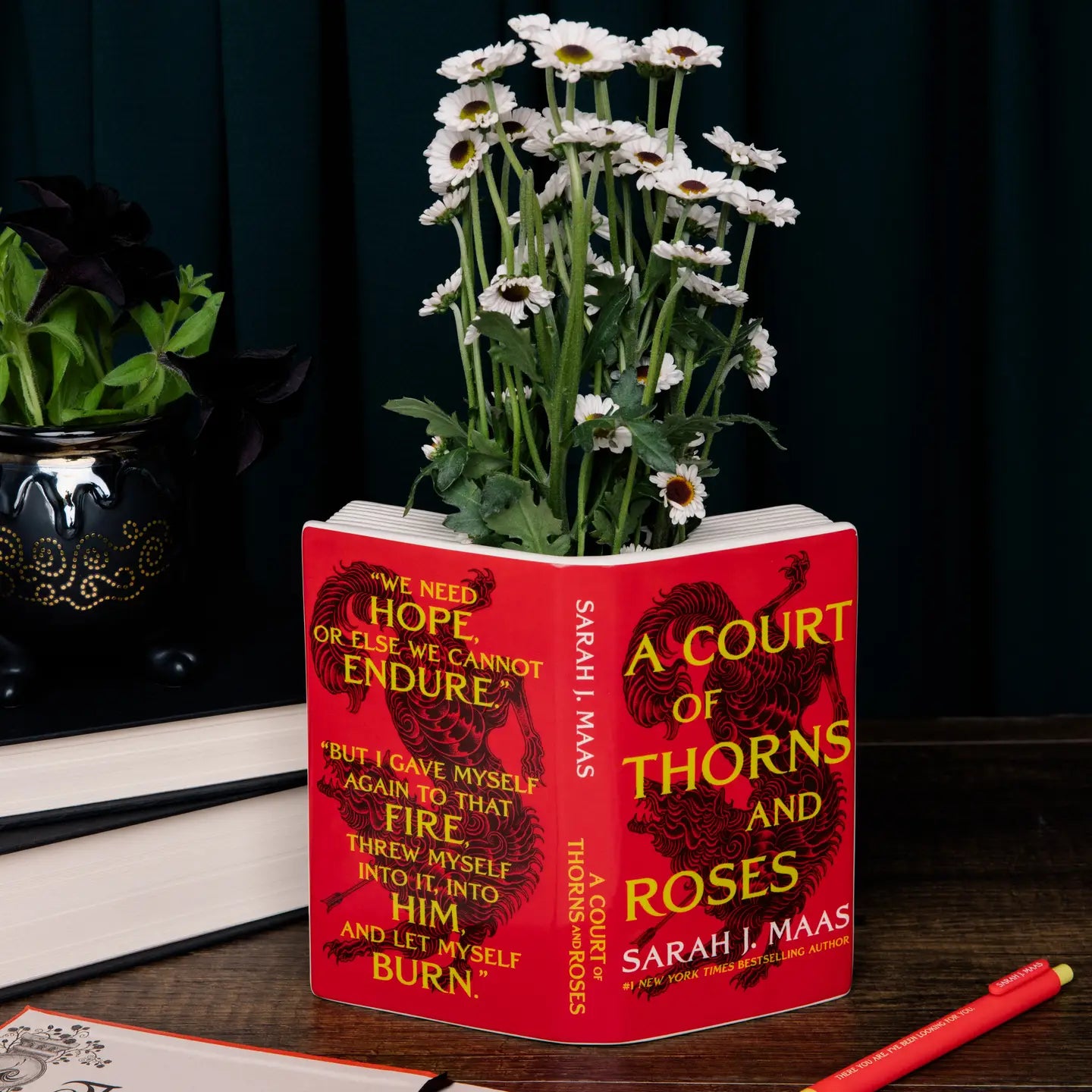ACOTAR - A Court of Thorns and Roses Open Book Vase (Officially Licensed)