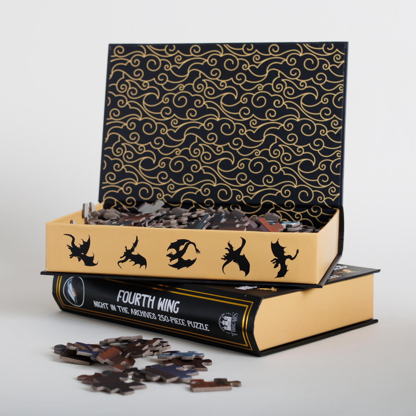 Night in the Archives Keepsake Puzzle - Fourth Wing