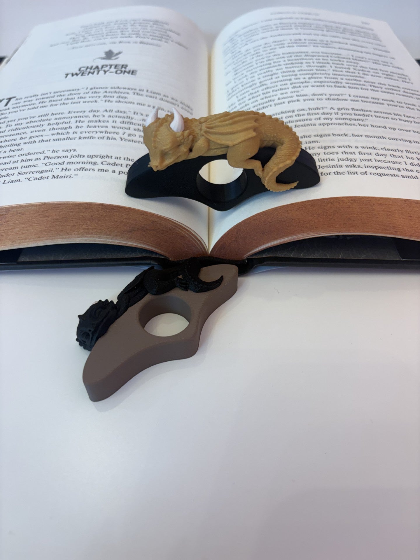 Sleepy Dragon Page Holder