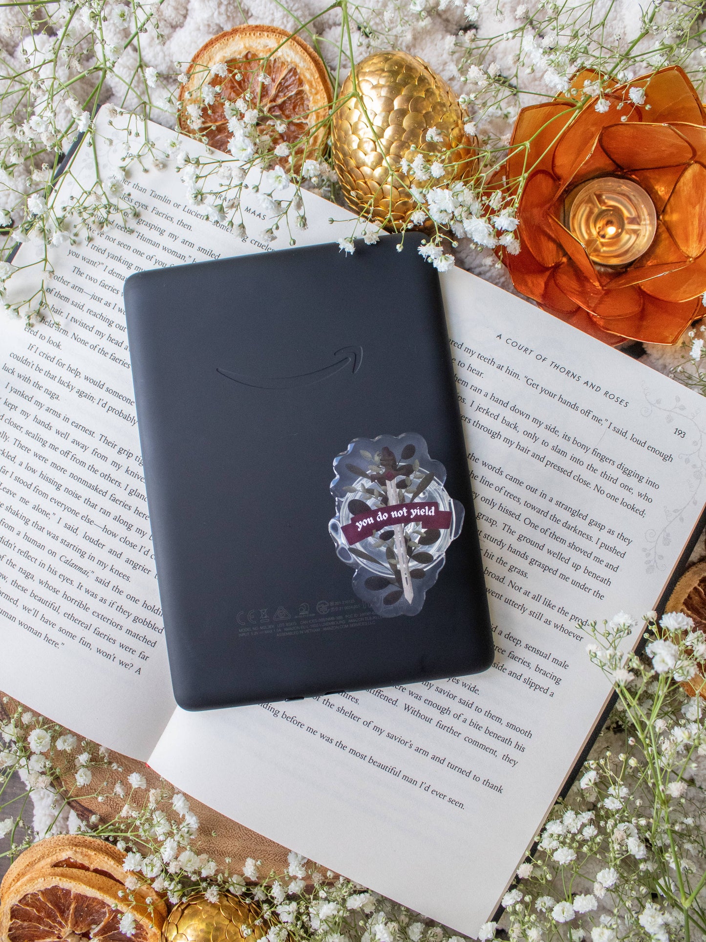 Throne of Glass - You Do Not Yield (E-Reader/Phone Grip)