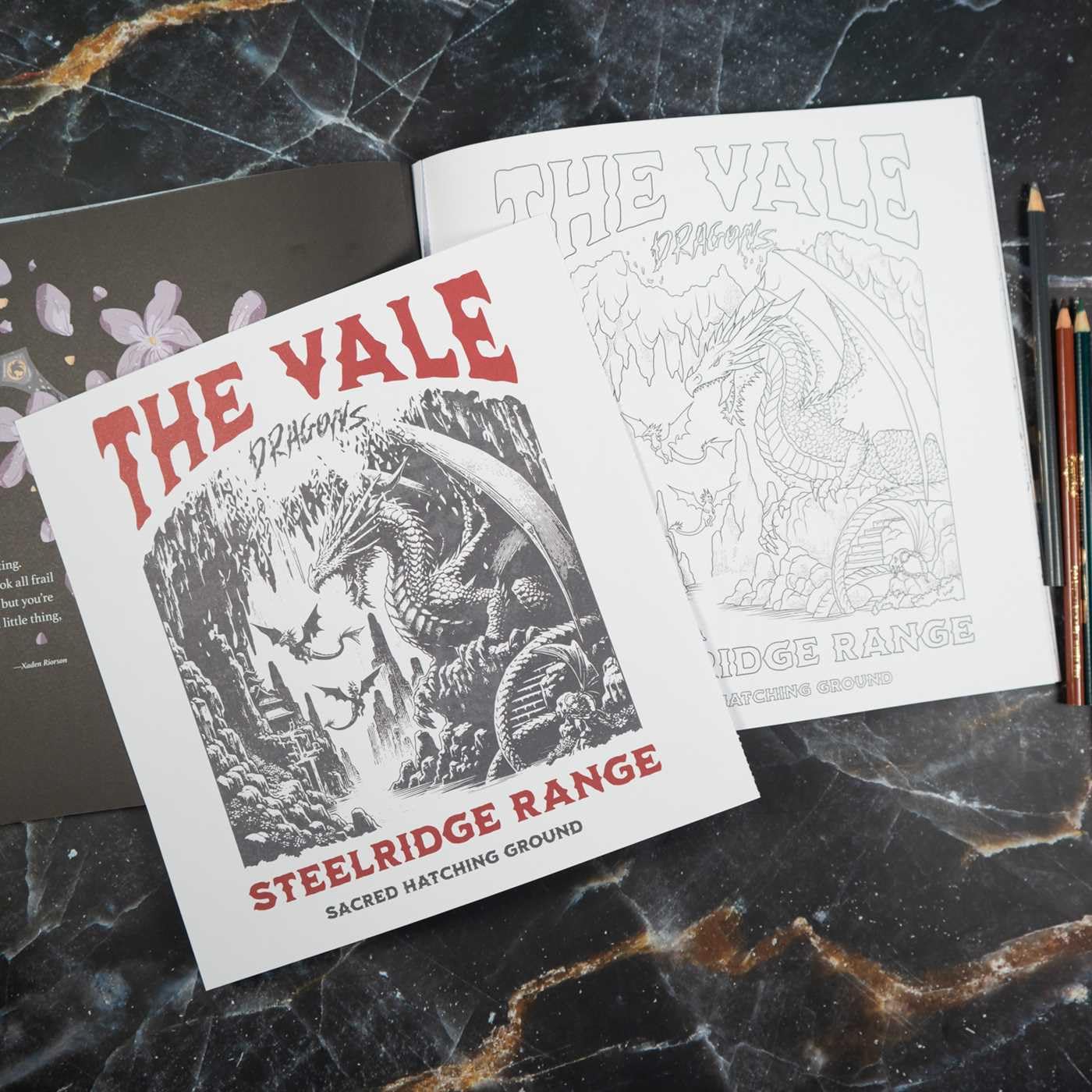 Fourth Wing: The Official Coloring Book - by Entangled (Paperback)