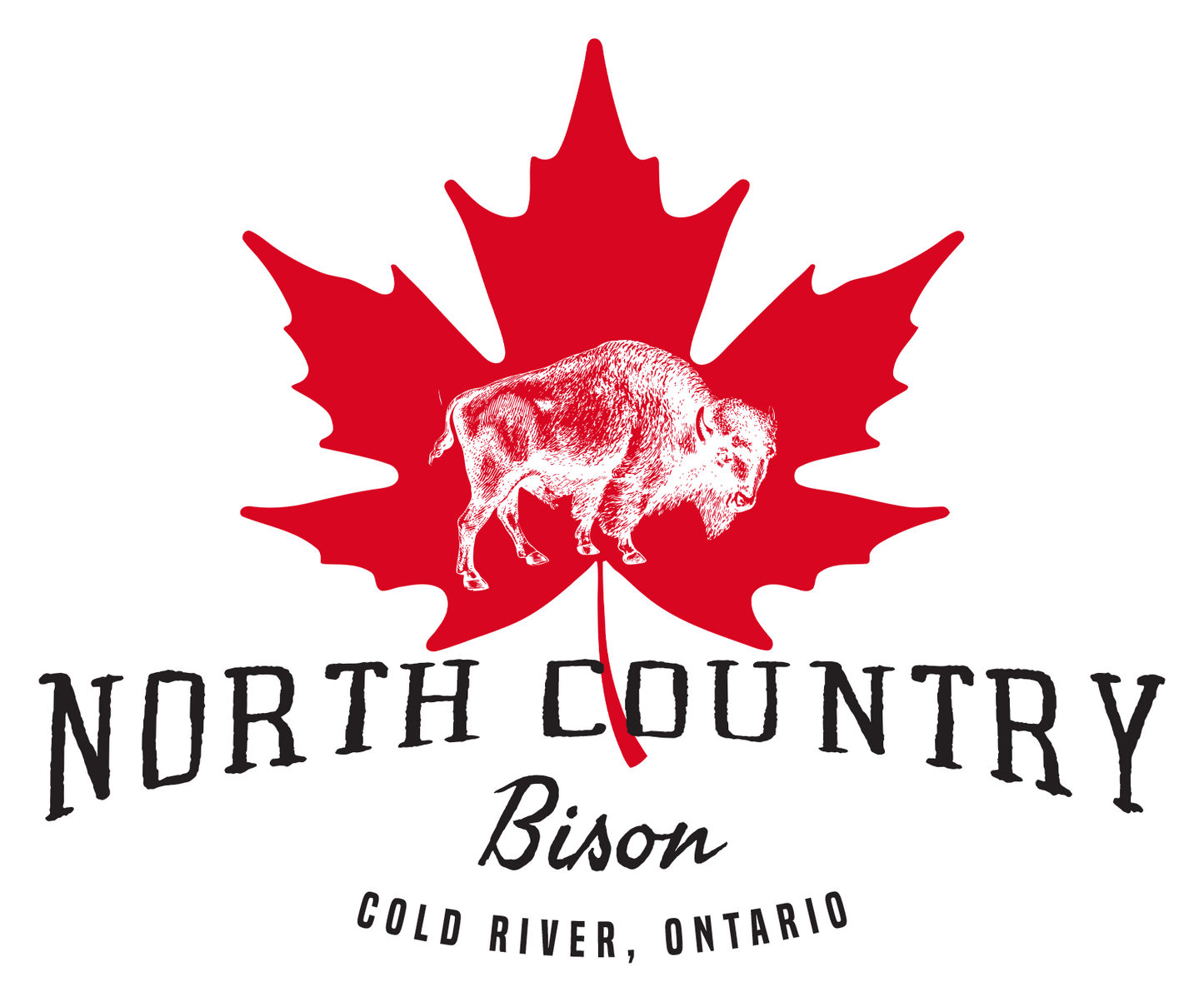 (Pre-Order) North Country by K. A. Tucker (Paperback)