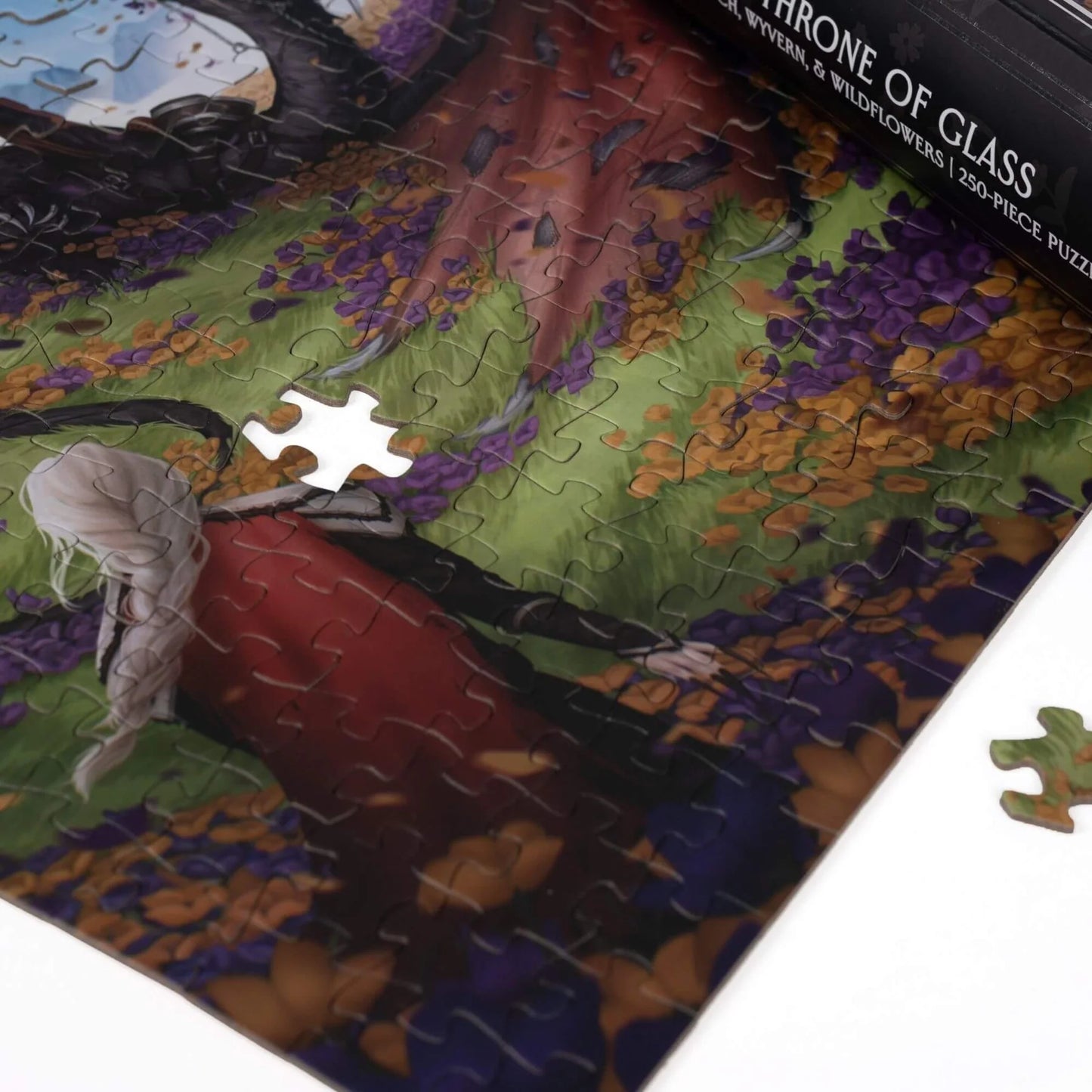 Witch, Wyvern & Wildflowers - Throne of Glass 250 pc puzzle