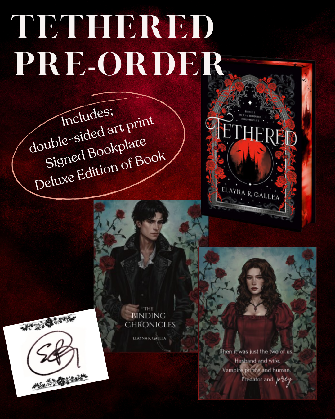 (Pre-Order) Tethered by Elayna R Gallea (Hardcover, Deluxe Edition)