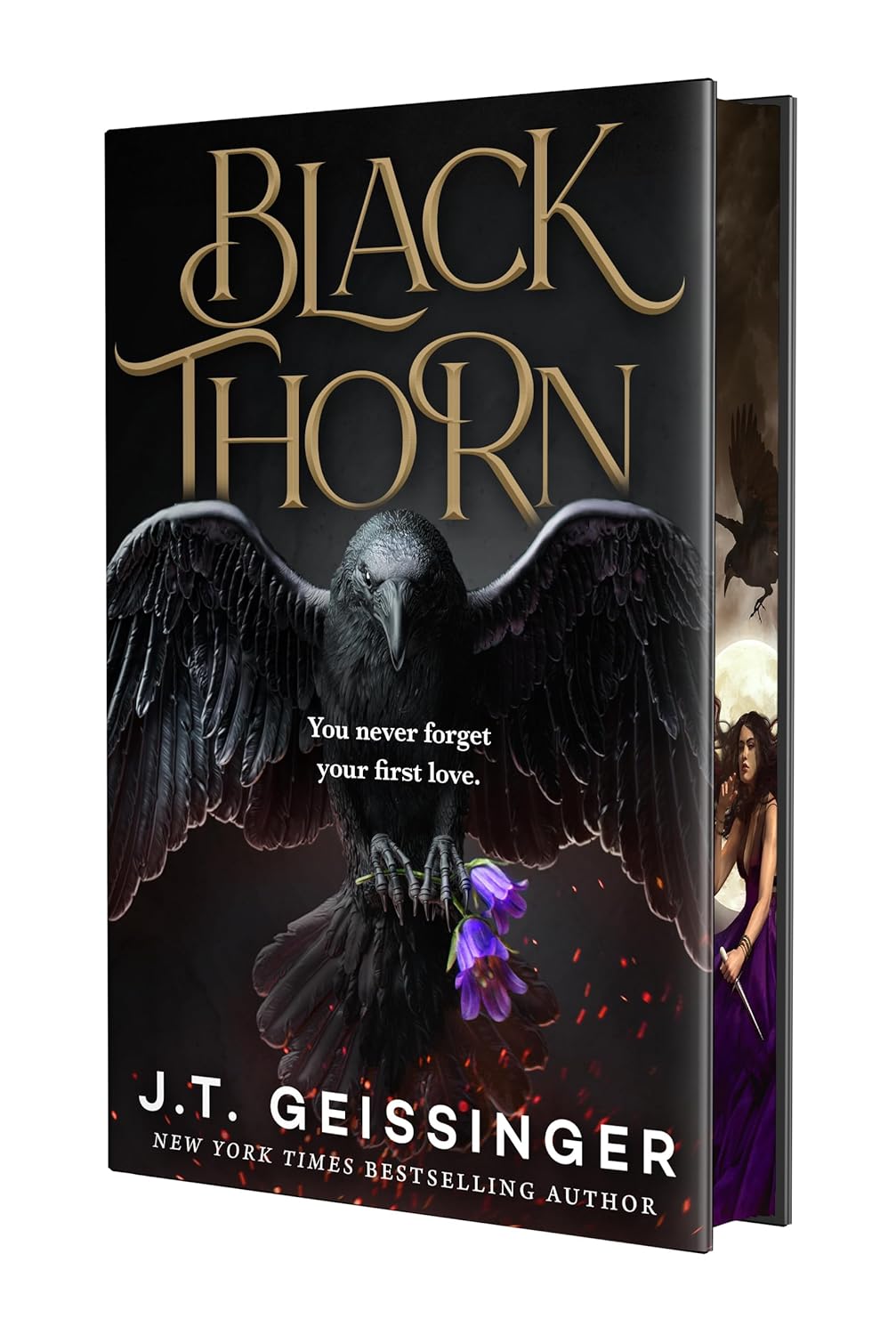 Blackthorn by J. T. Geissinger (Hardcover)