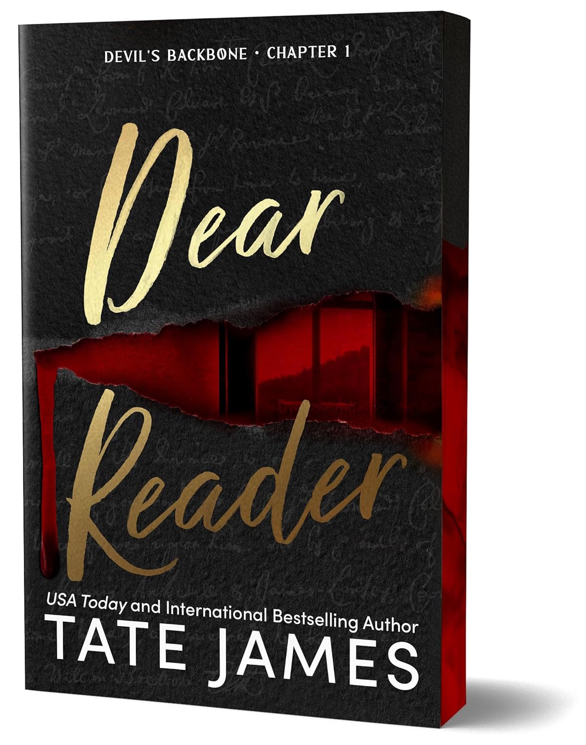 Dear Reader (Devil's Backbone #1) by Tate James (Paperback)
