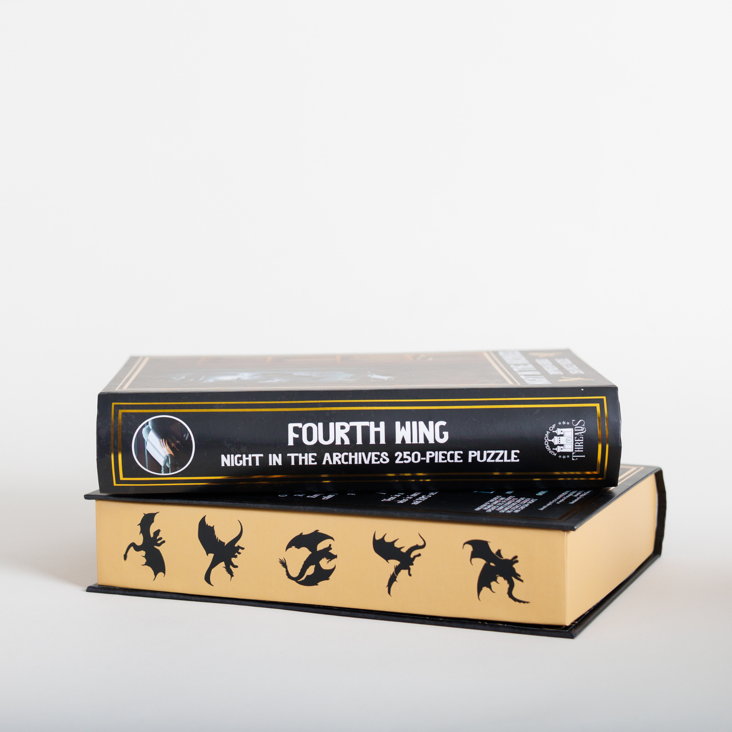 Night in the Archives Keepsake Puzzle - Fourth Wing