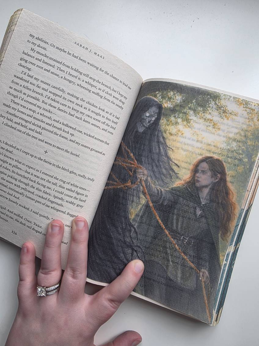ACOTAR Inspired Page Overlays by Kristen Li Art (Fits US Paperback)